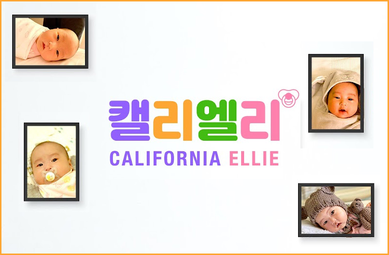 캘리엘리 채널 배너